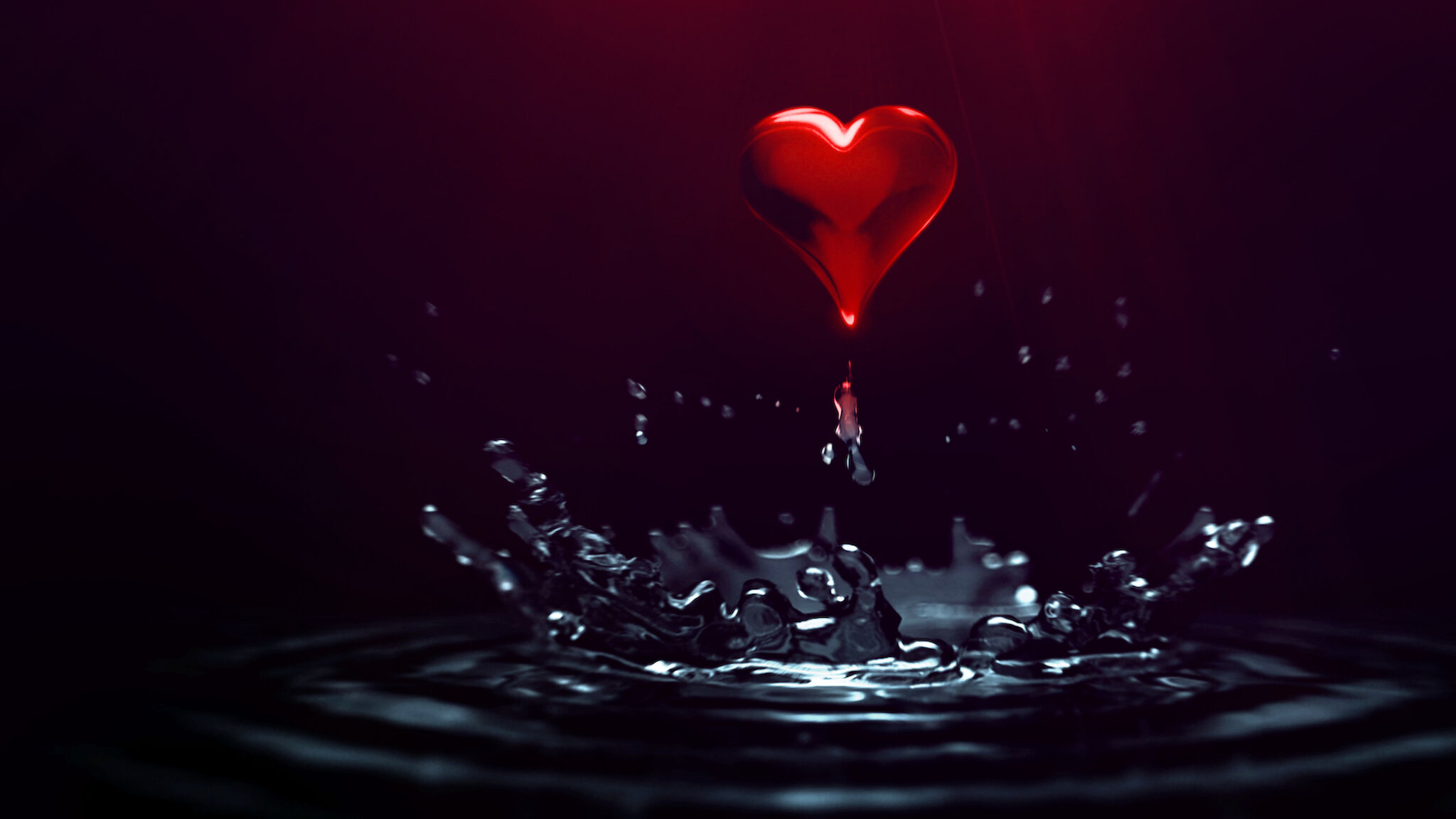 Watch Love, Life & Everything in Between | Netflix Official Site 