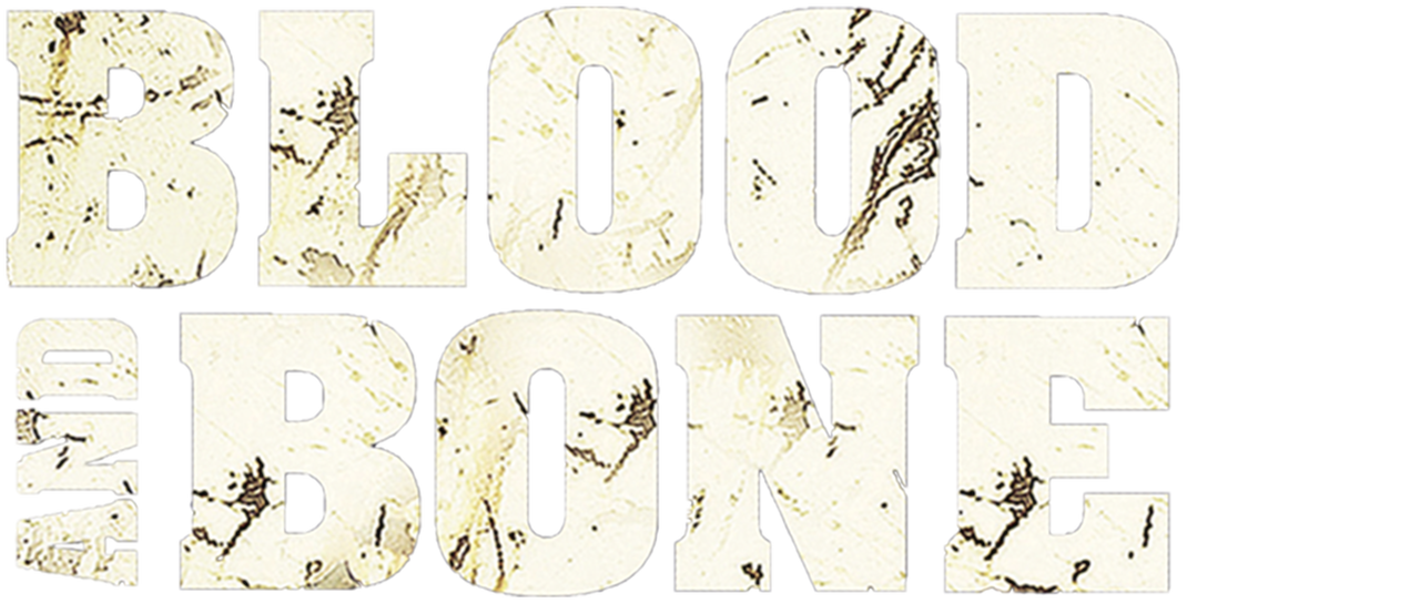 Watch Blood and Bone Netflix