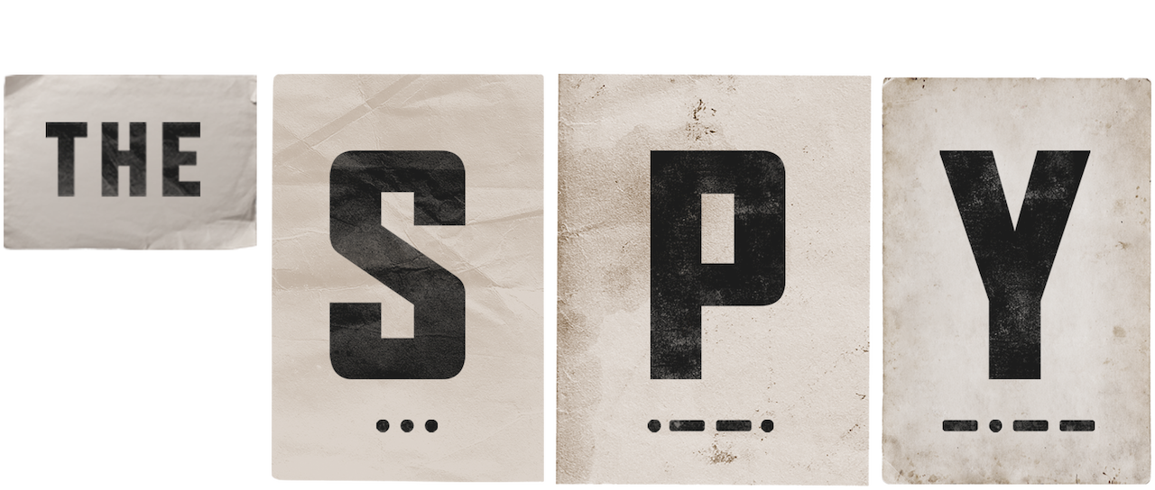 Watch The Spy | Netflix